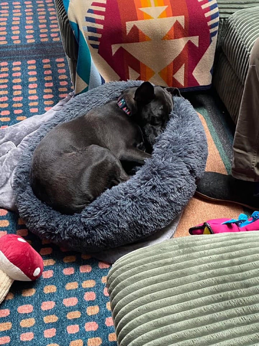 Mora cozy at home