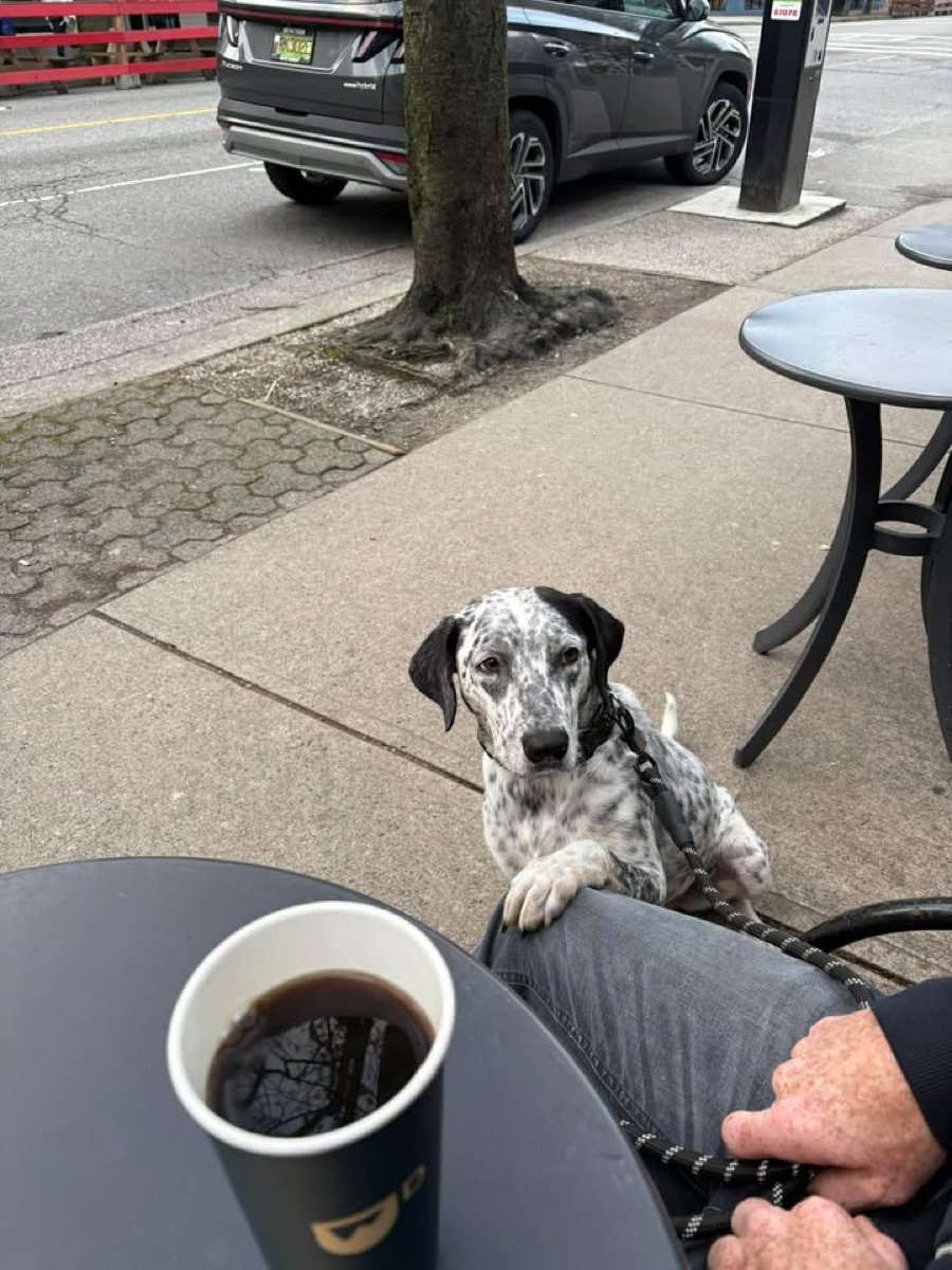 Pecas in Vancouver
